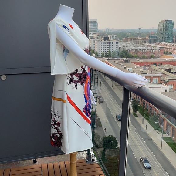 Save the Queen  Dress  Size L - Picture 5 of 16